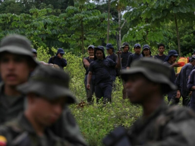 Coca eradication operations in Colombia