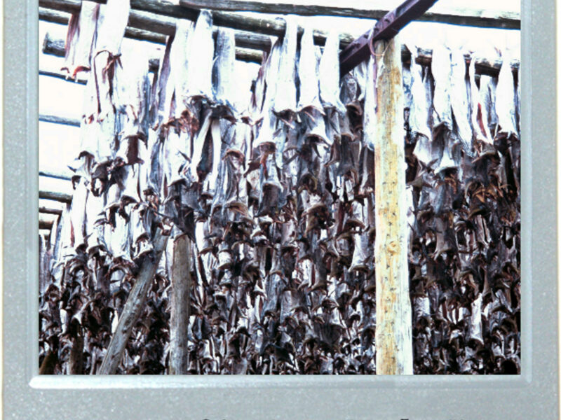 Cod's Country