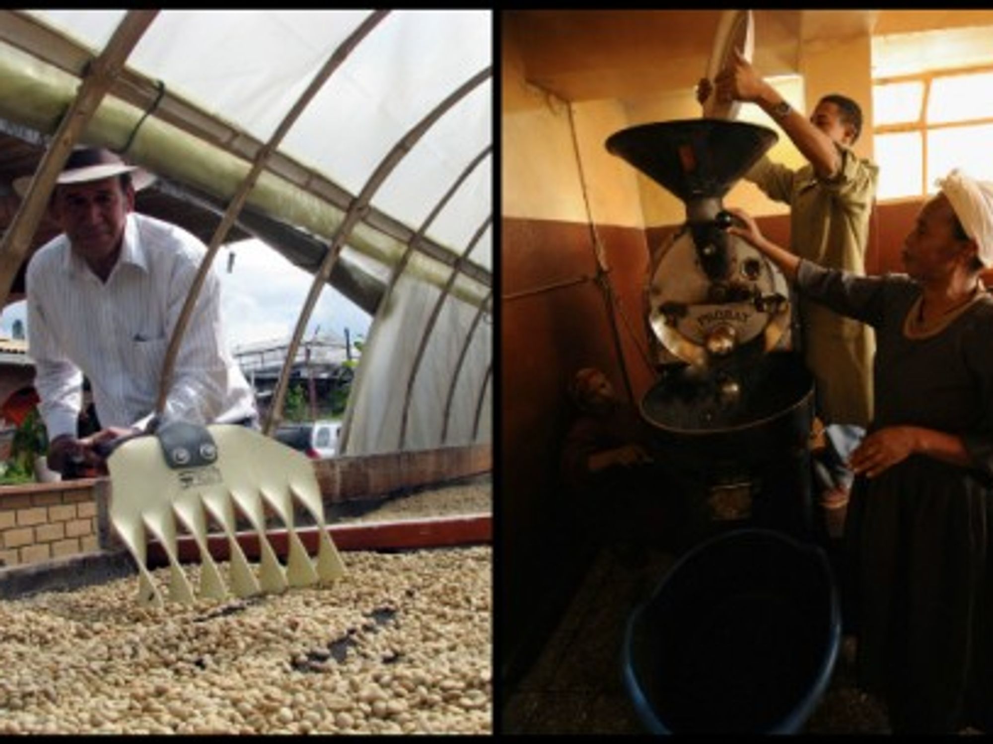 Coffee growers in Manizales, Colombia (left), and in Addis Ababa, Ethiopia (right)