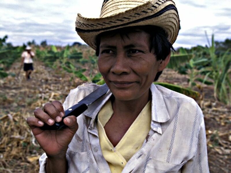 Colombian farmers in a field