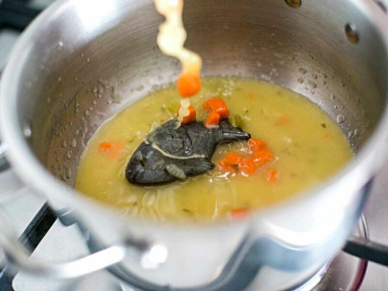 Cooking using the Lucky Iron Fish to fight anemia