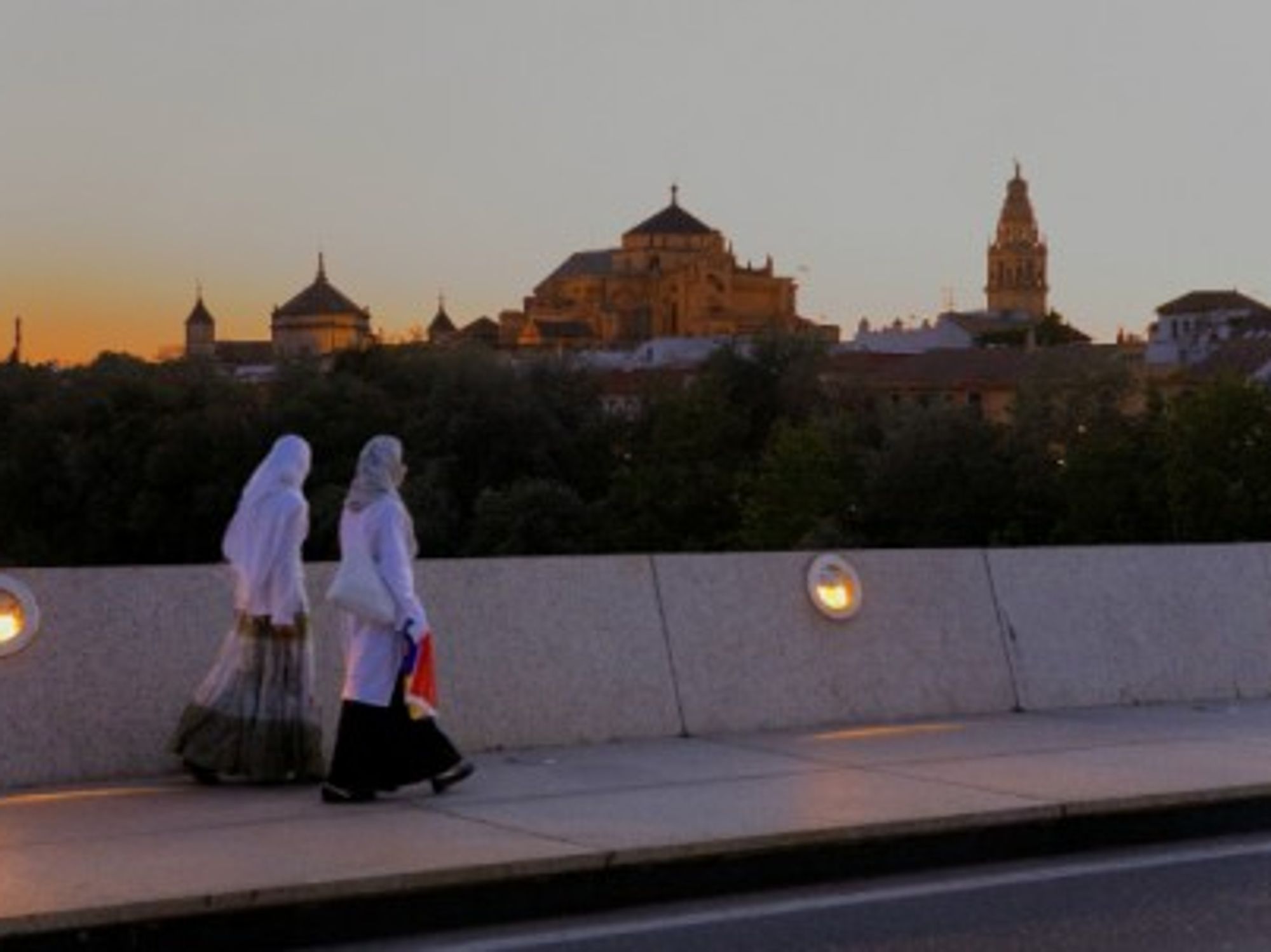 Cordoba's Mosque-Cathedral seen from the Miraflores Bridge
