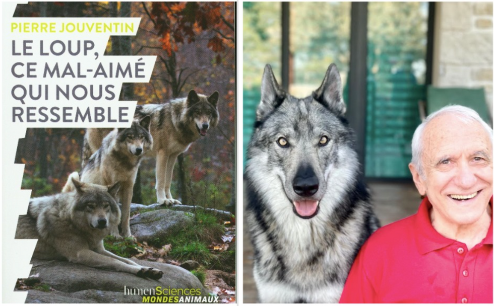 cover of ​Wolf, This Unloved Animal Who Resembles (left), and Pierre Jouventin with a wolf (right).