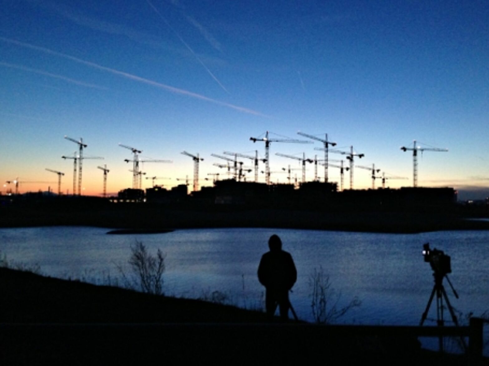 Cranes in Aspern, Austria