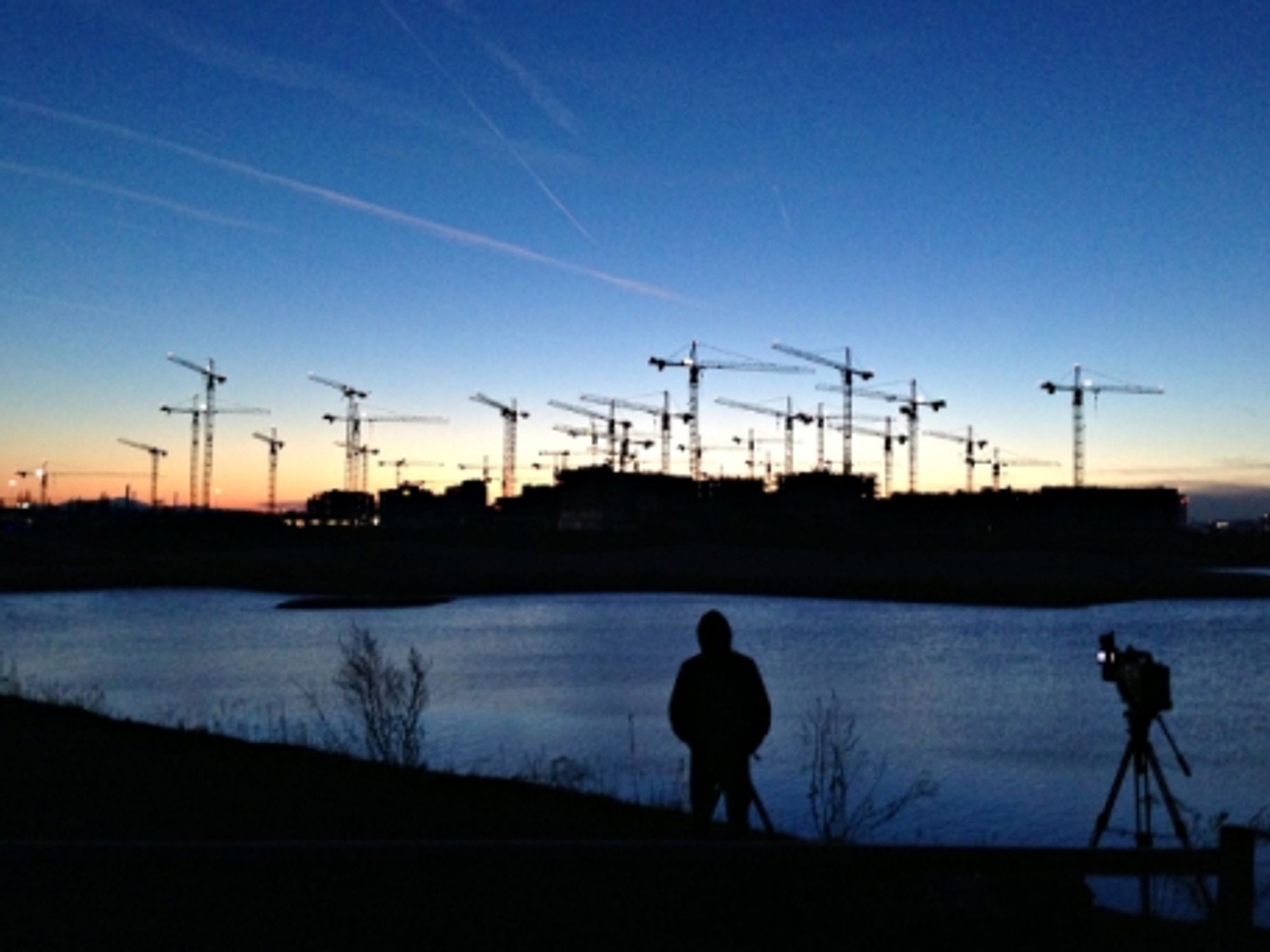 Cranes in Aspern, Austria