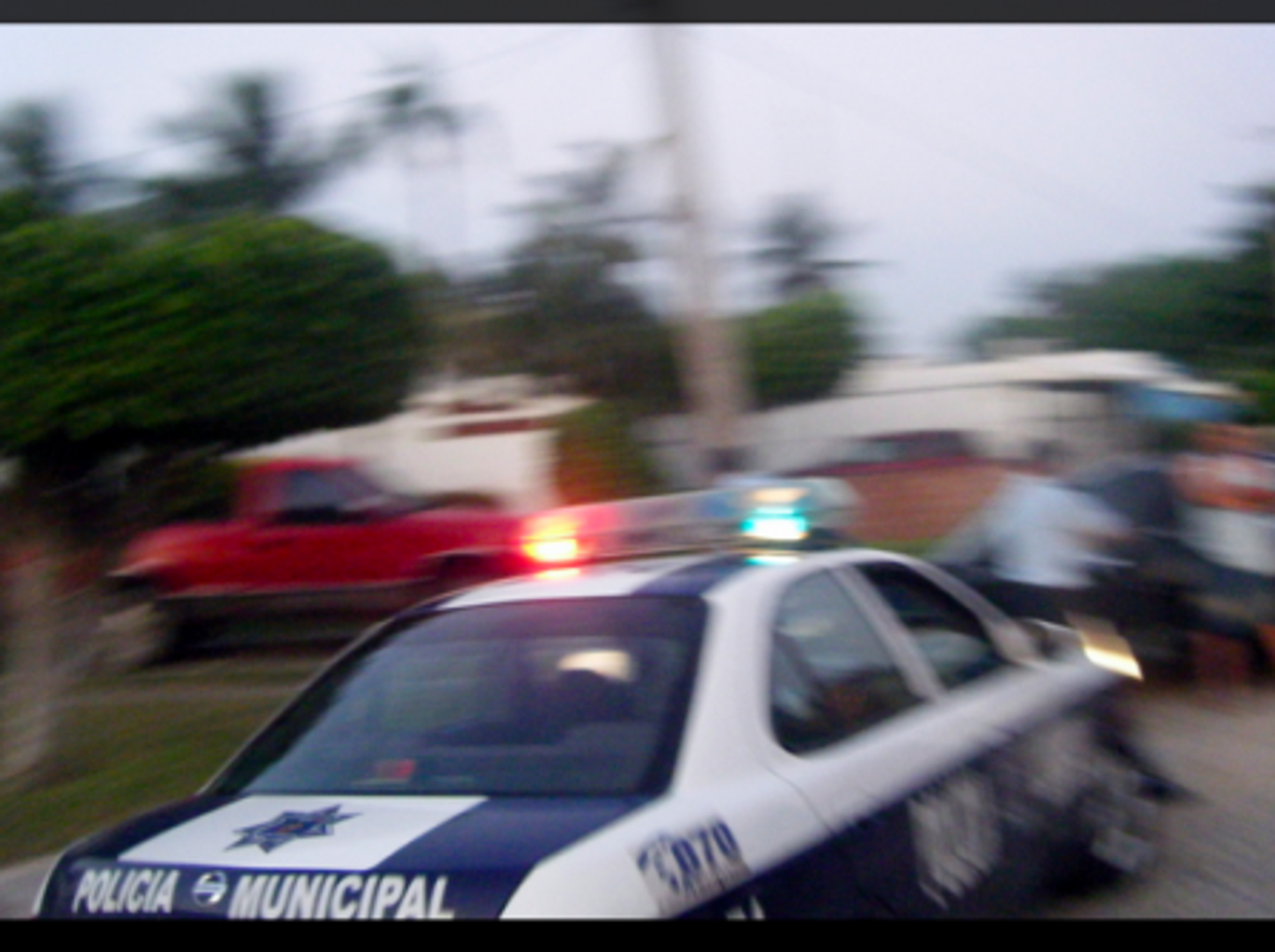 Crime Int'l: Gambler King, Mob Violence, Lying Parents
