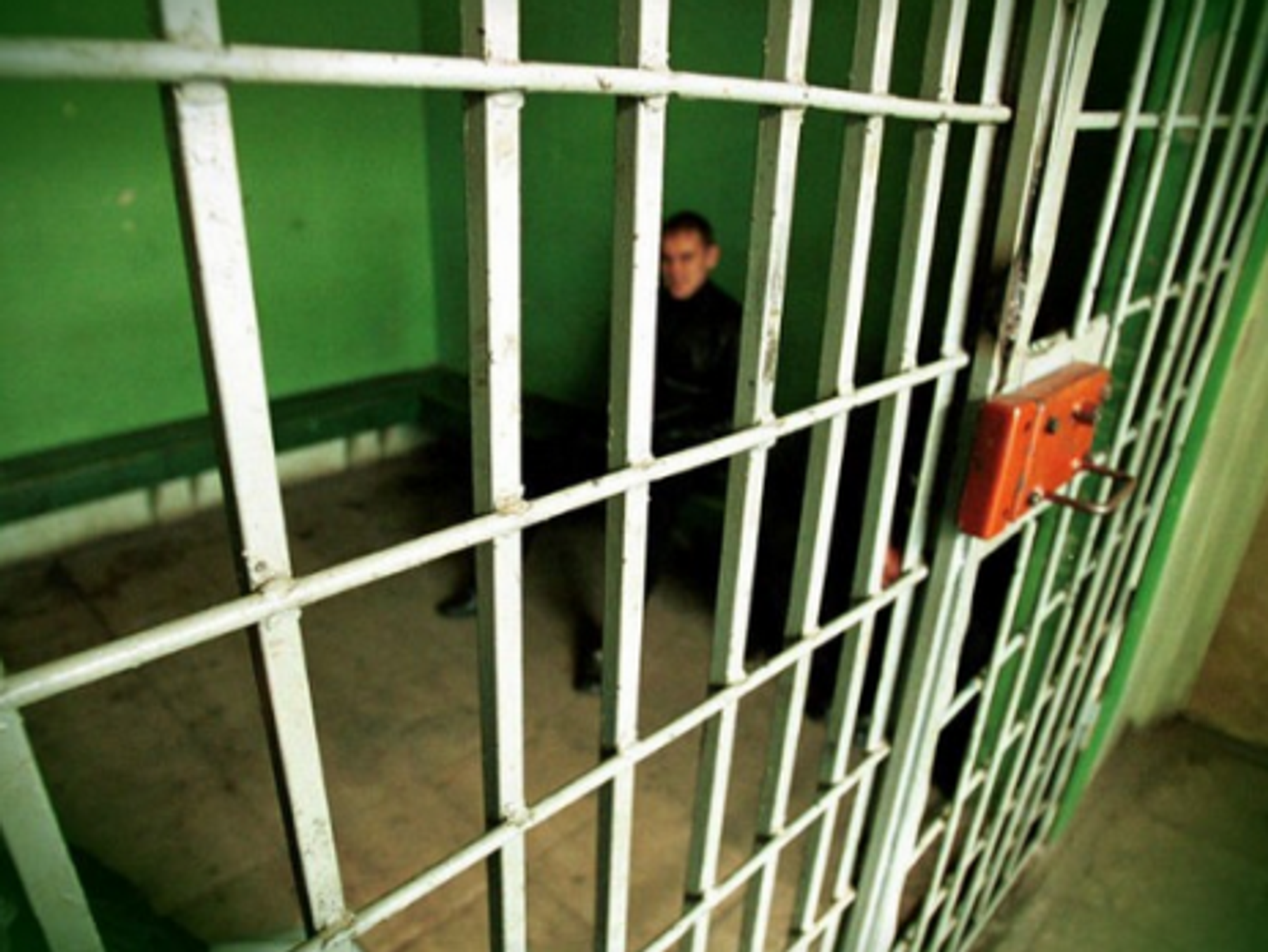 Crime Int'l: Pig Feed, Rob Ford, 911 Addict