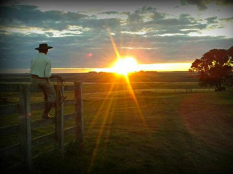 Crop or cattle for this "gaucho"?