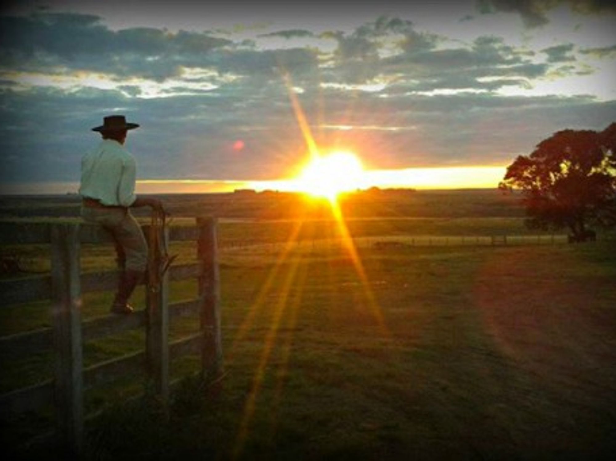 Crop or cattle for this "gaucho"?