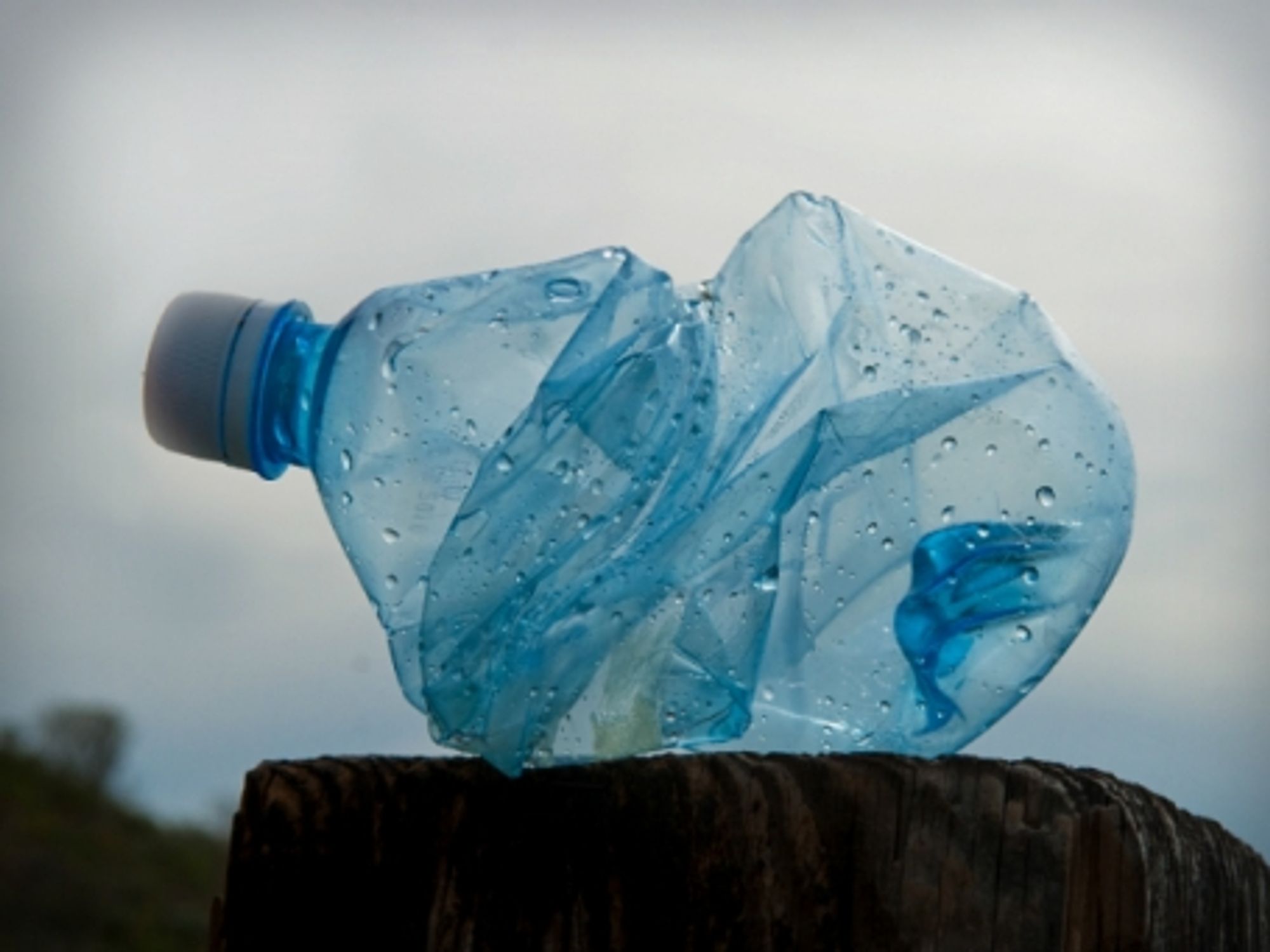 Crumpled plastic bottle.