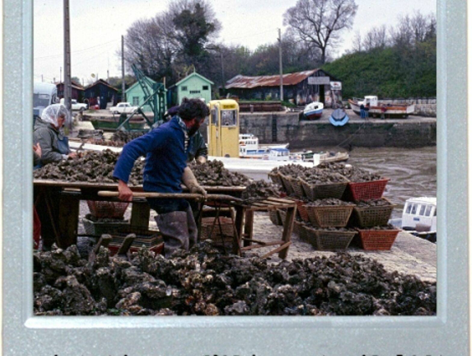 Cute Sin