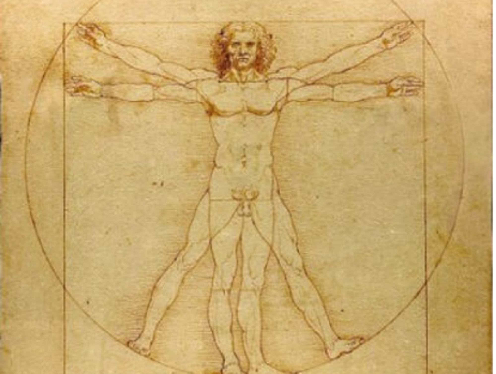 Da Vinci's Vetruvian Man is housed in Venice's Gallerie dell'Accademia