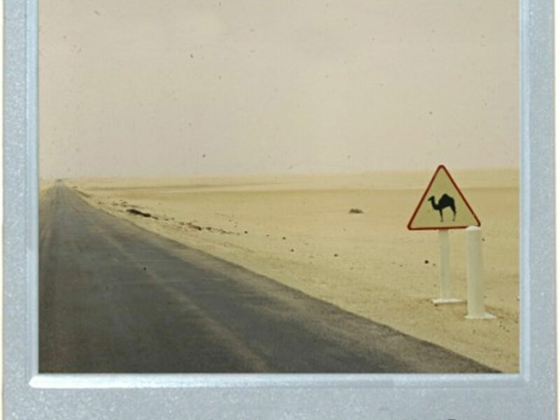 Danger: Camel Crossing