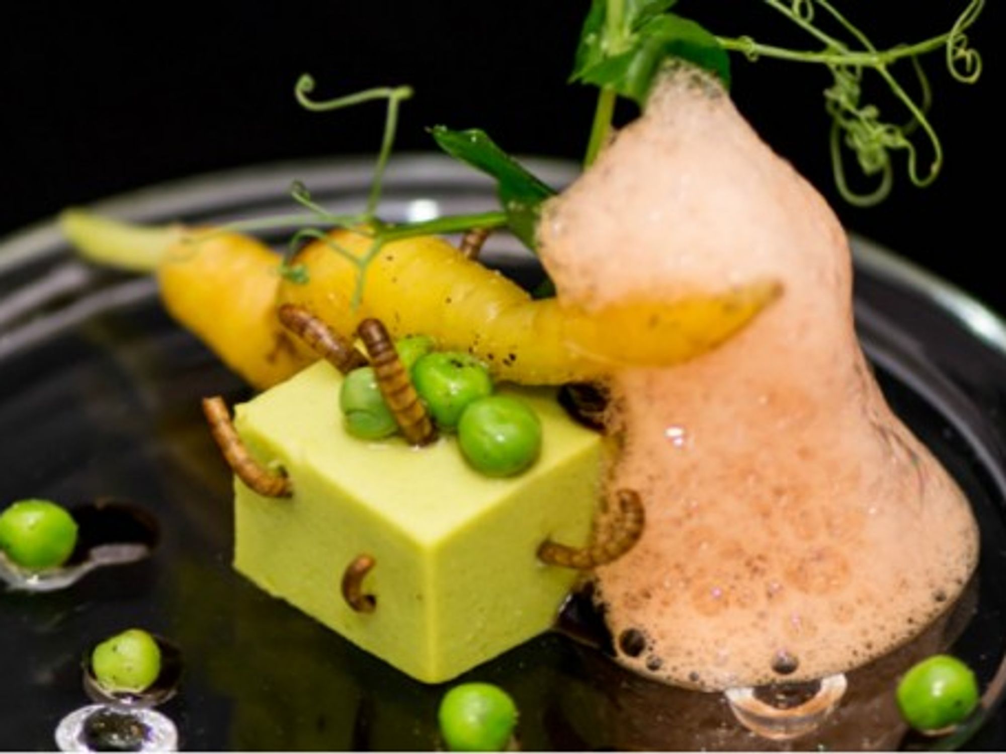 David Faure's "Small Square Peas and ecume of Carrots, Mealworms"