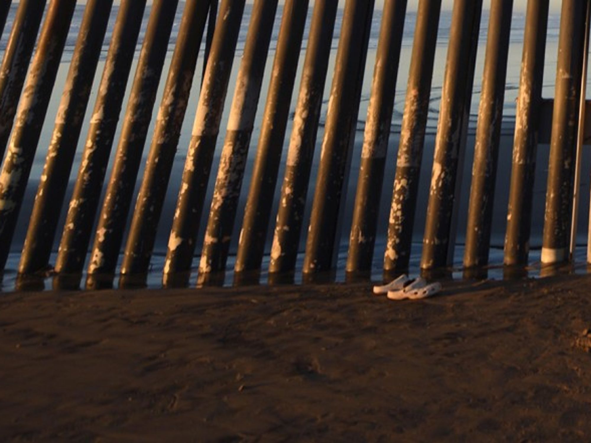 Detail of photograph by Carol Guzy