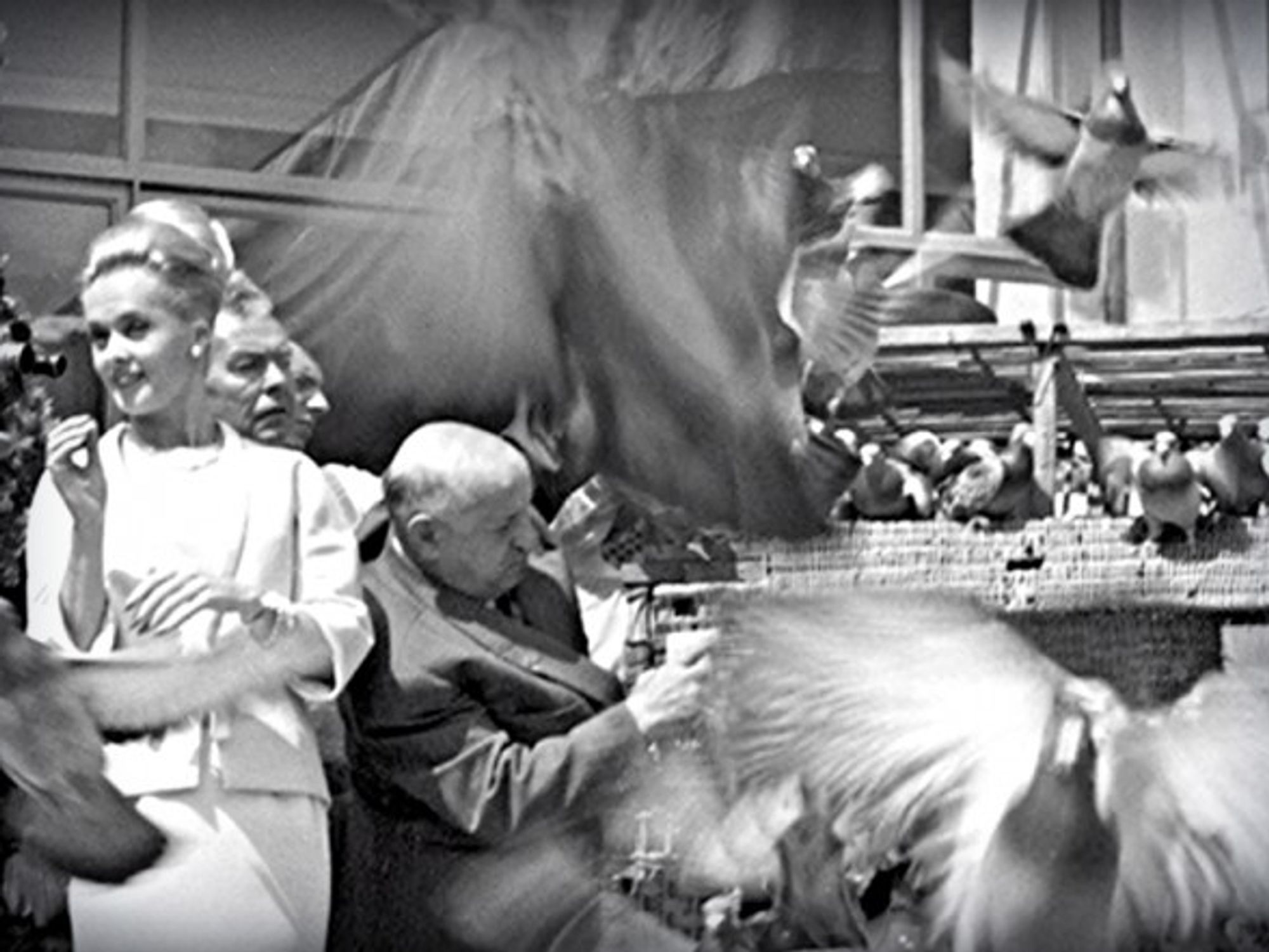 Detail of photograph from INA archives