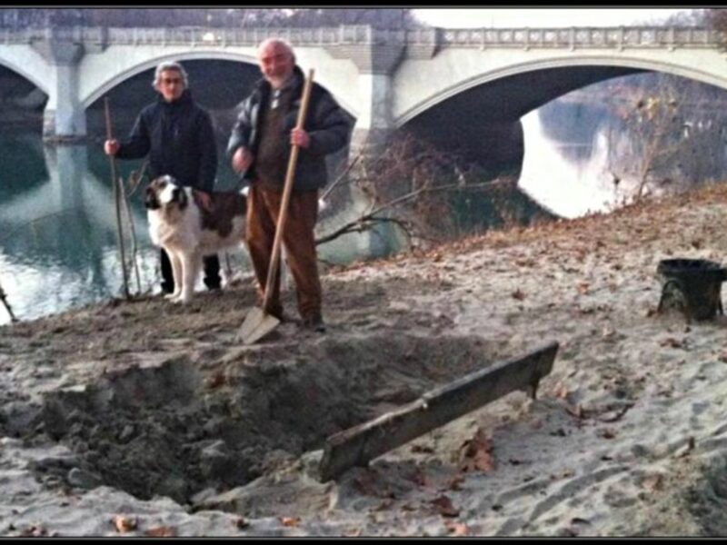 Digging out of the mud