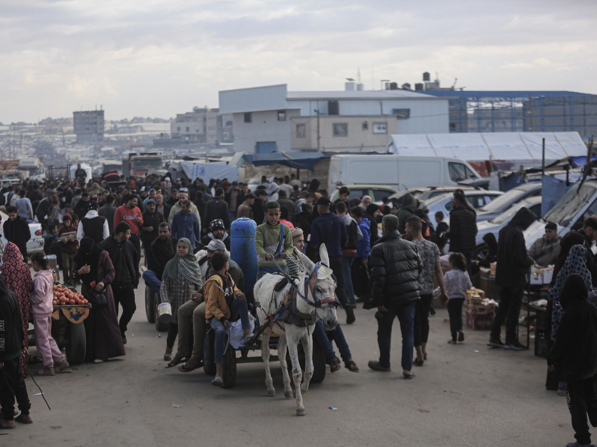 Displaced Palestinians near the Gaza-Egypt border.​