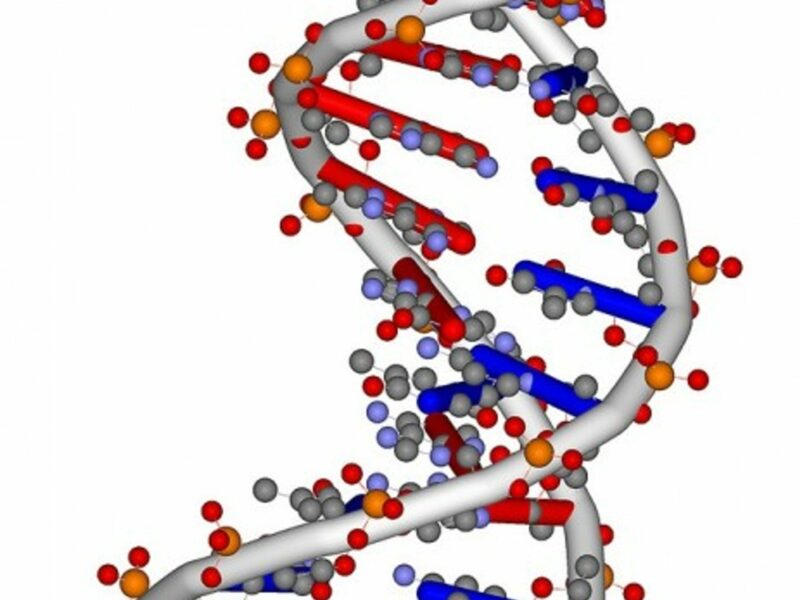 DNA