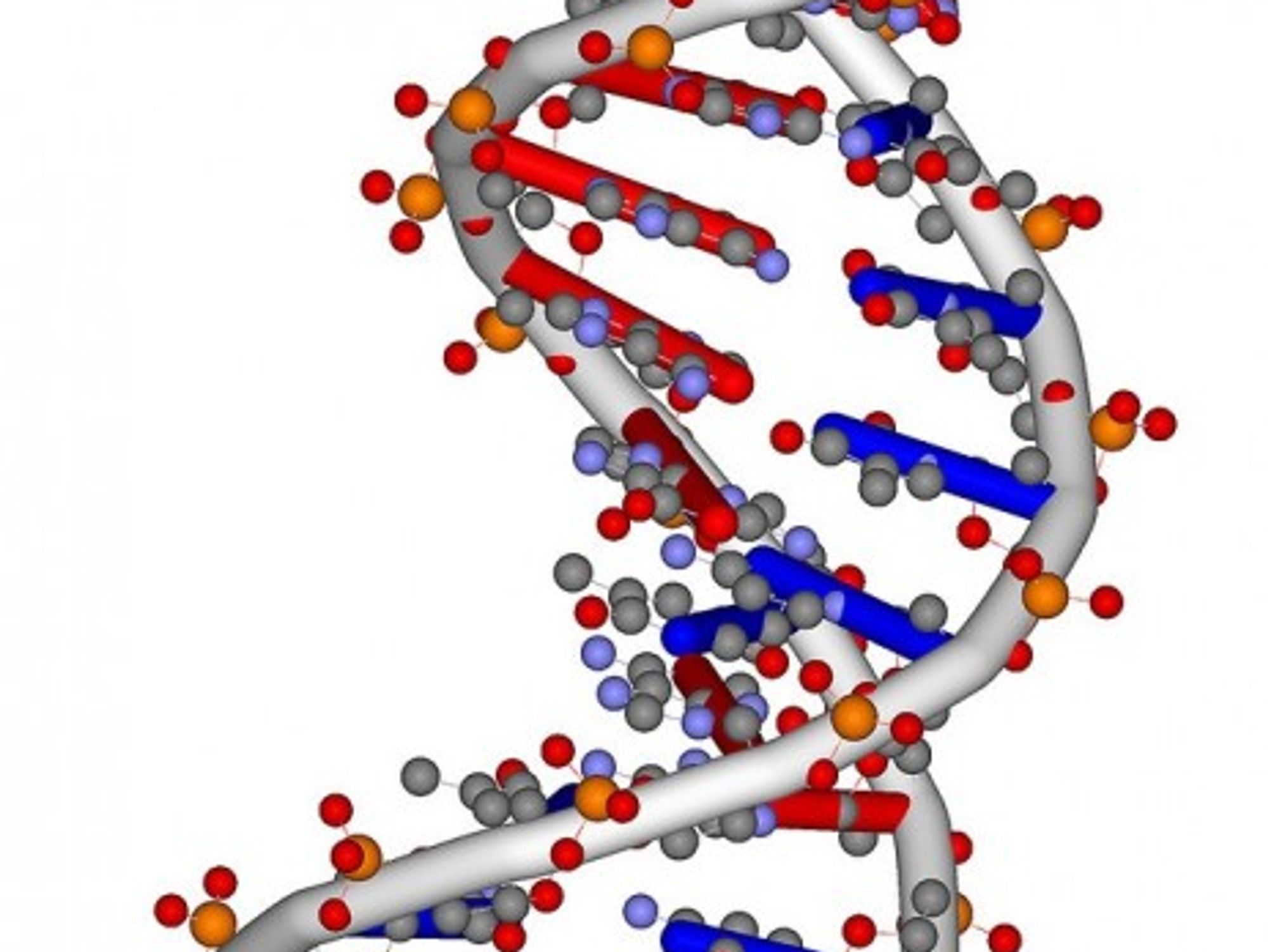 DNA