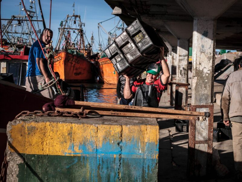Dock workers and fishermen unloads the day's catch.