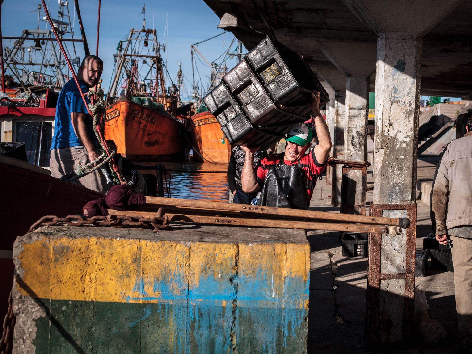 Dock workers and fishermen unloads the day's catch.