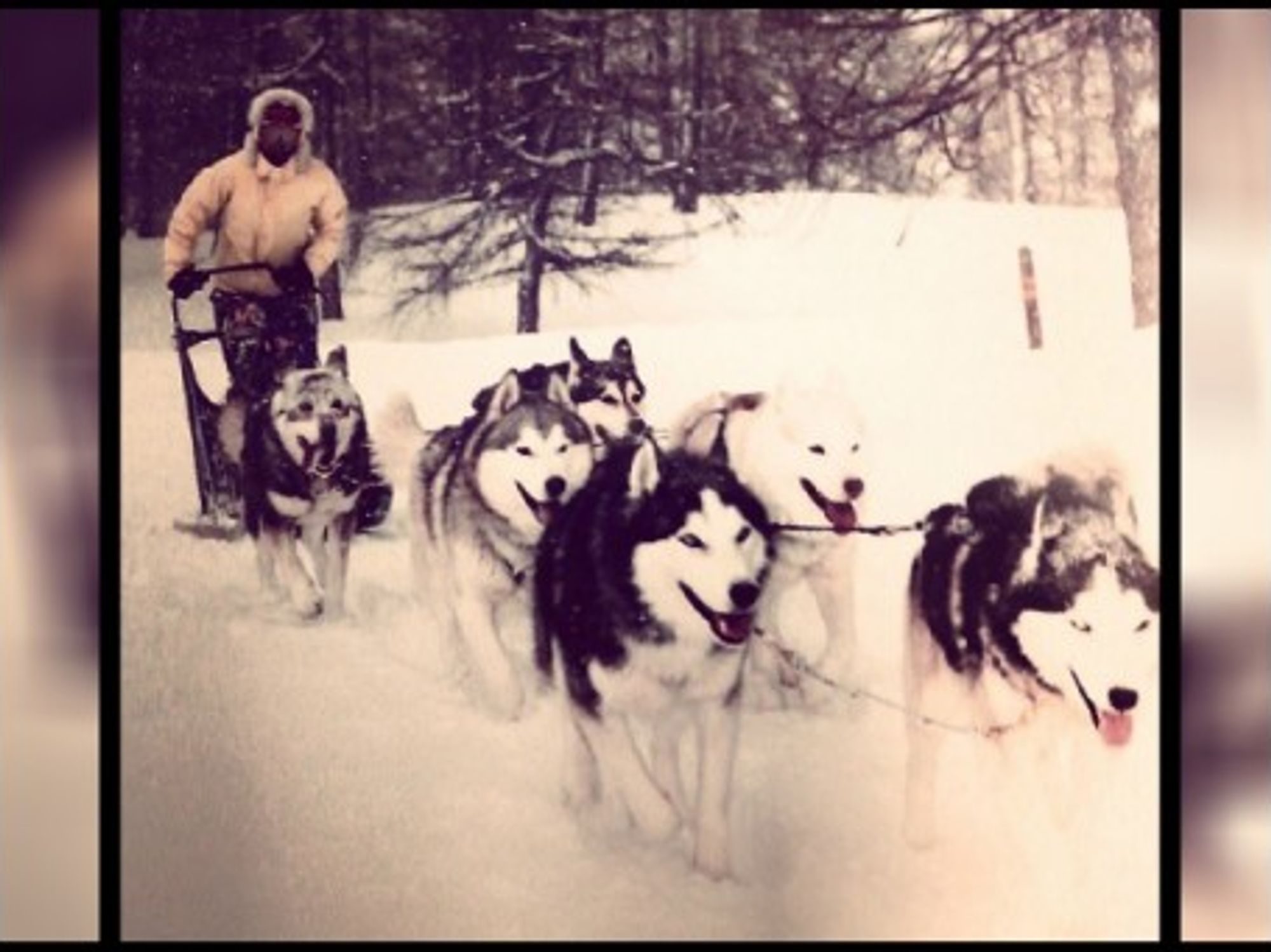 Dog sledding in Sainte Marie in the French Alps
