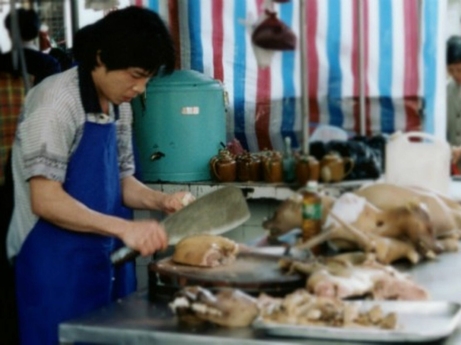 Dogs being butchered in Guangdong, China