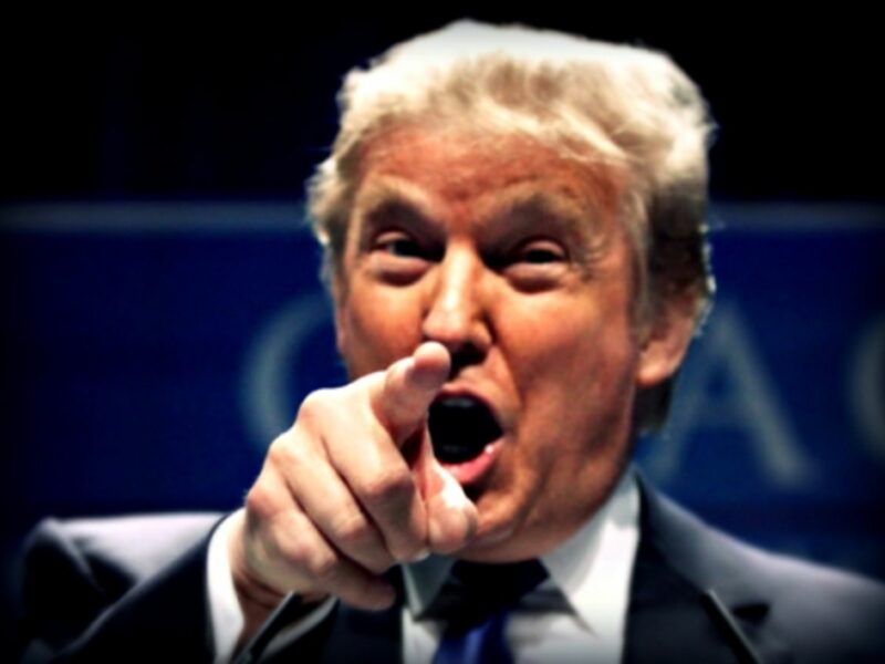 Donald Trump Is A Big Jerk — And Good For Democracy