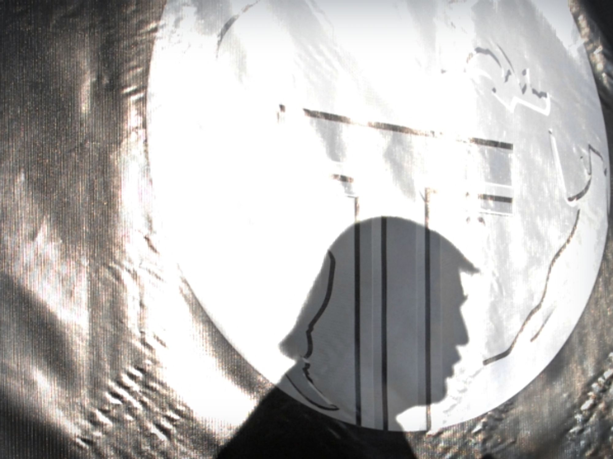 Donald's Trump shadow