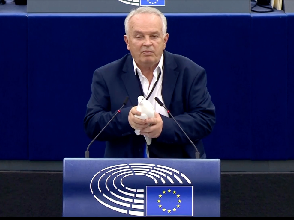 Dove release as gesture of peace in EU parliament met with dismay