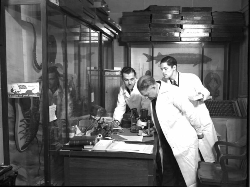 Anti-Vaxxers Of Yore: Pandemic History Is Rife With Conspiracy Theories