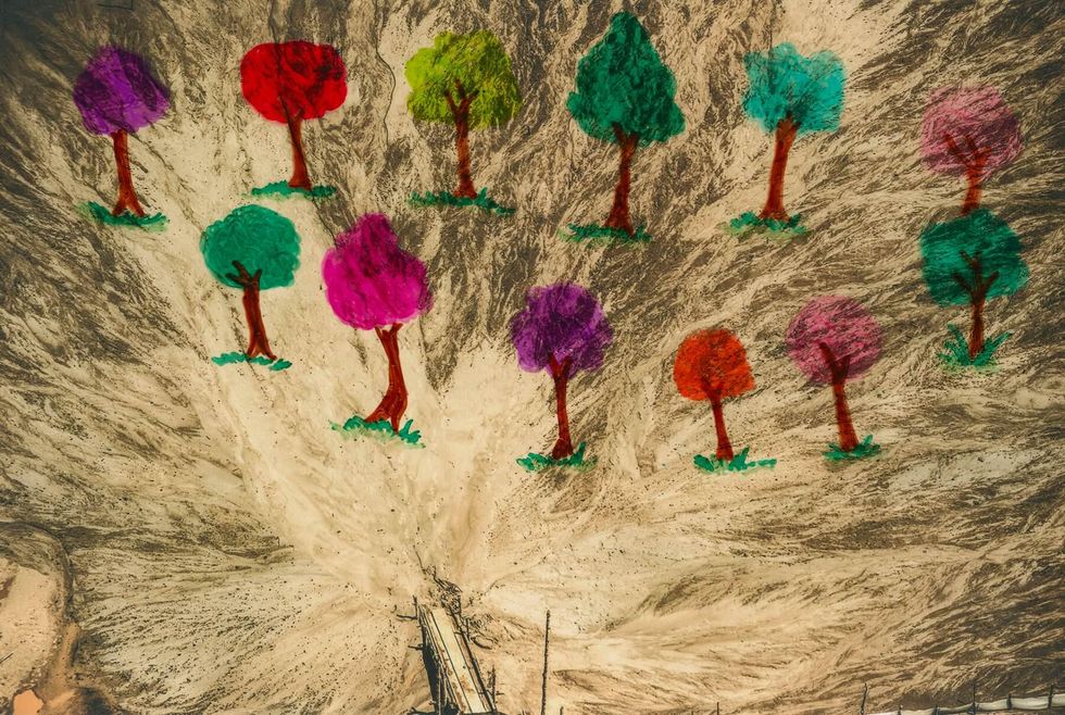 Drawn mameys, an edible fruit plant that abounds in the Amazon forests, amid deforestation and pollution.