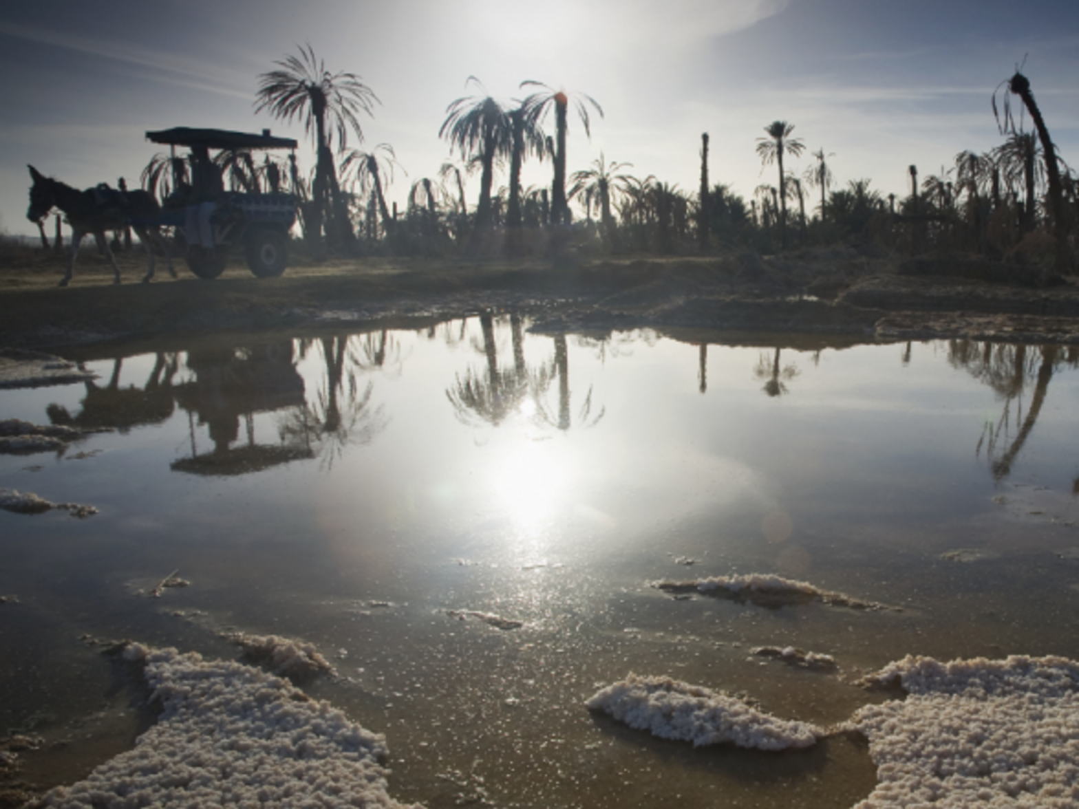Drought in Siwa, rural Egypt