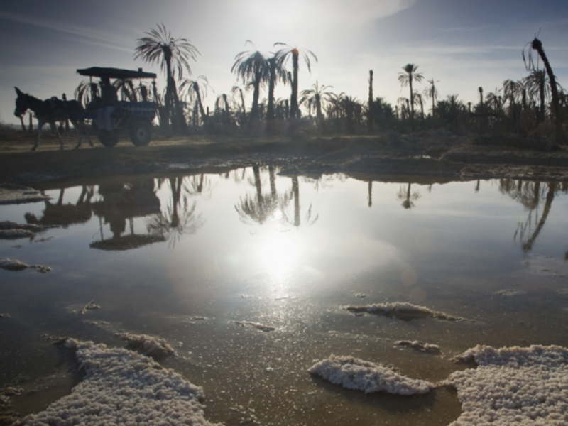 Drought in Siwa, rural Egypt