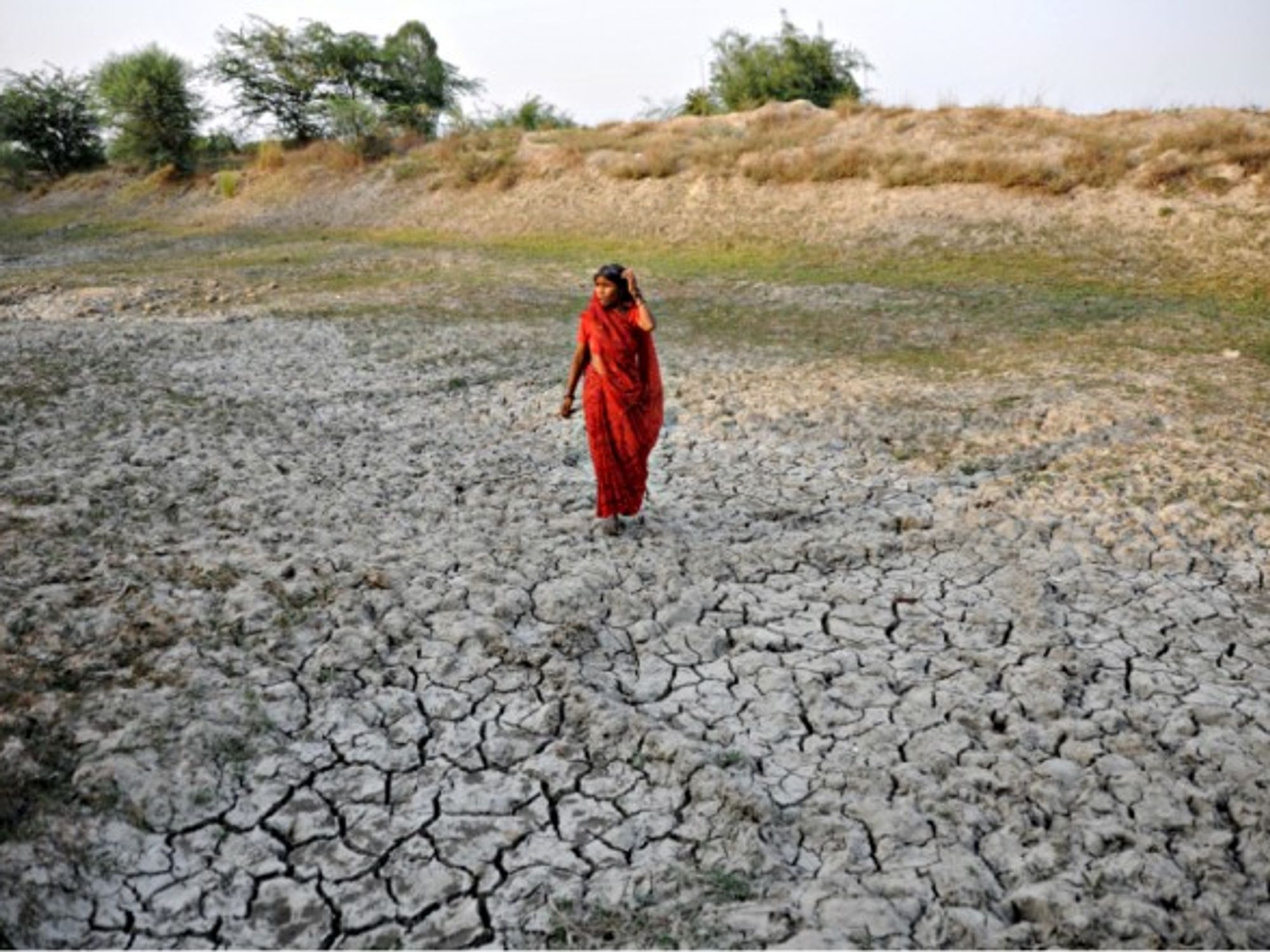 Drought in Uttar Pradesh, India