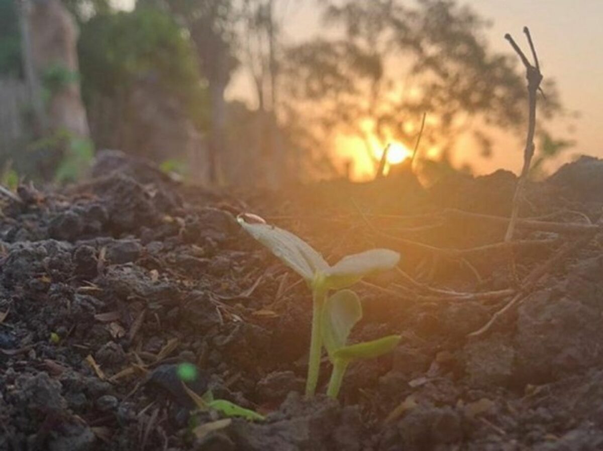 Dry Colombia still suffers from big agriculture's monopoly