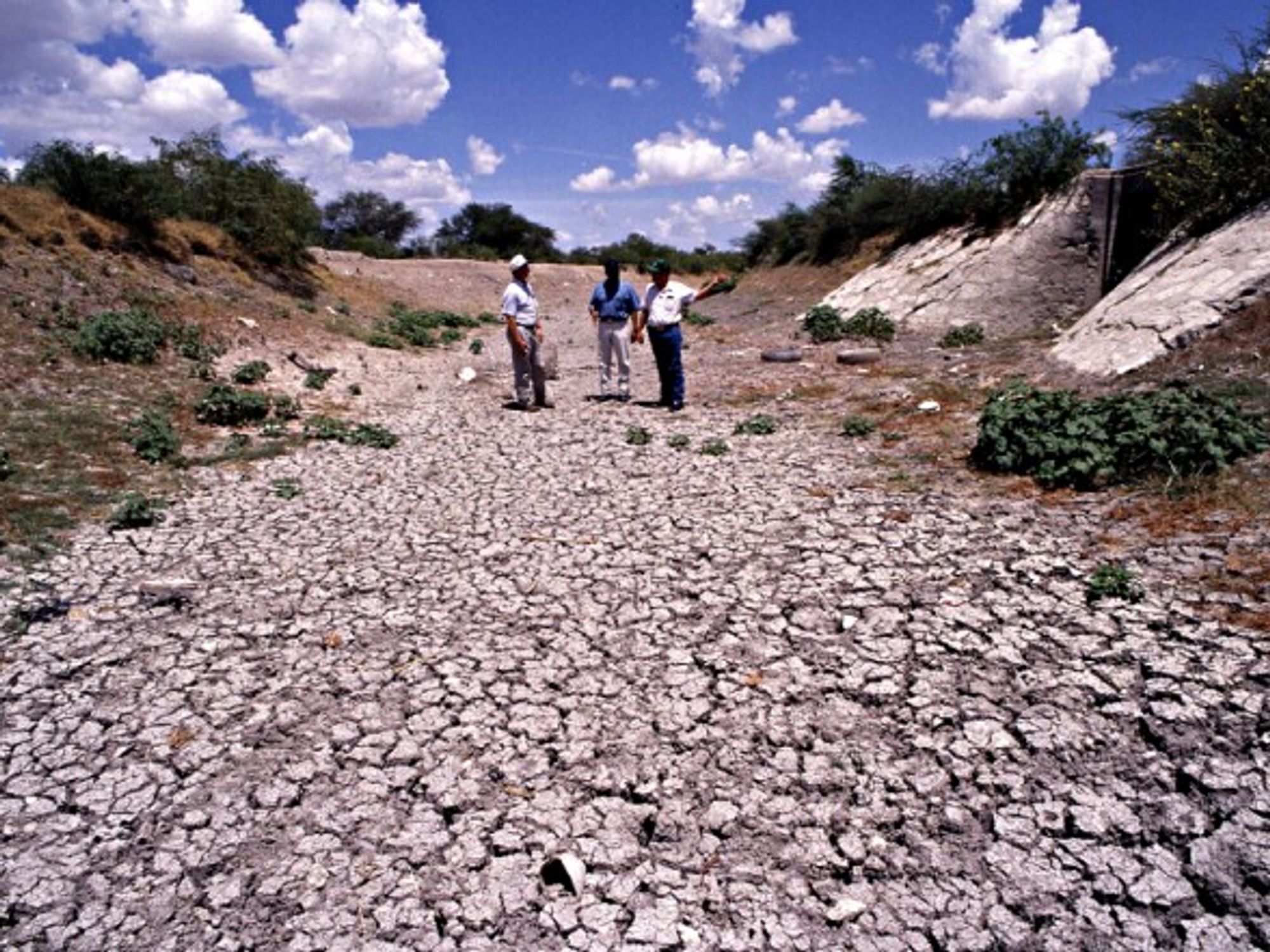 Dry Mexico