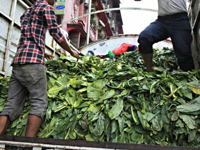 Dumping discarded vegetables in Mumbai, India