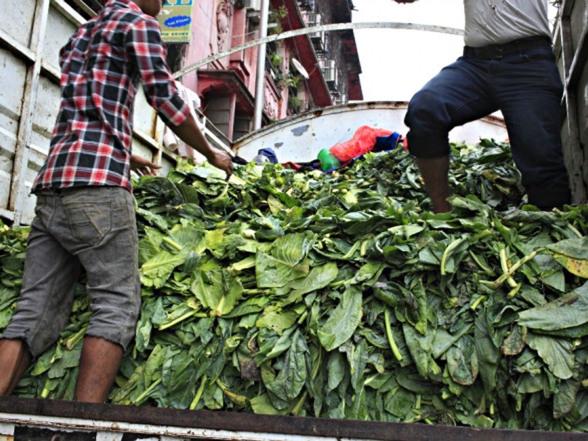Dumping discarded vegetables in Mumbai, India