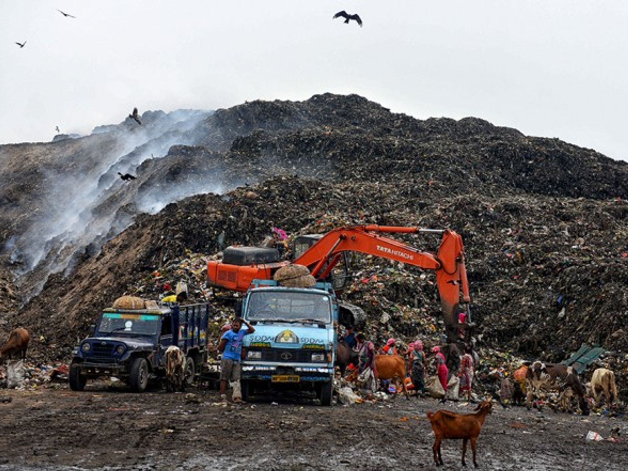 Dumpster in India