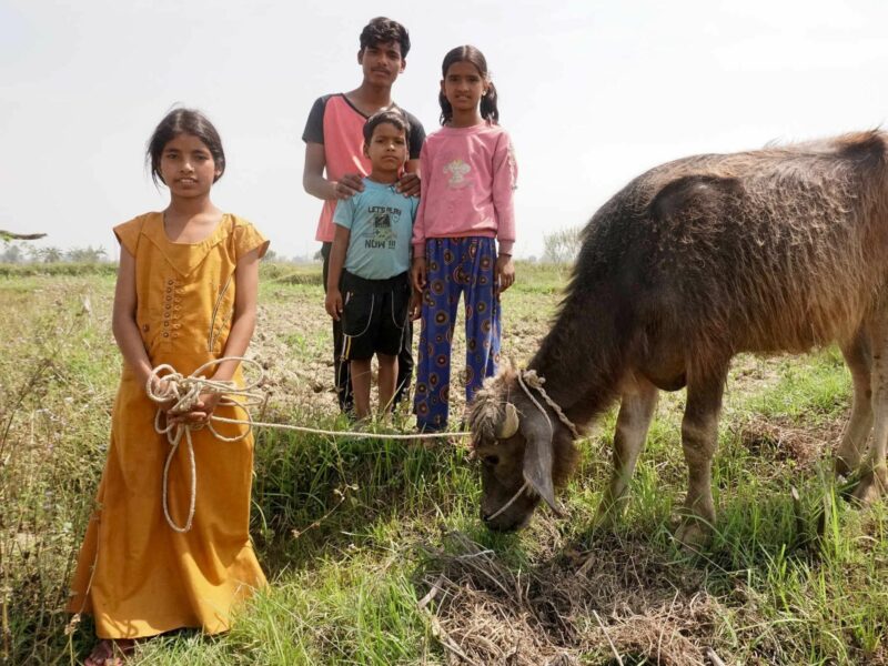 How Nepal’s “Left-Behind” Children Of Migrants Hold Families Together