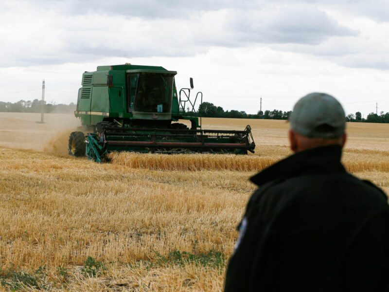 ​A farmer looks on as a combine harvests grains in a field in Odesa, southern Ukraine