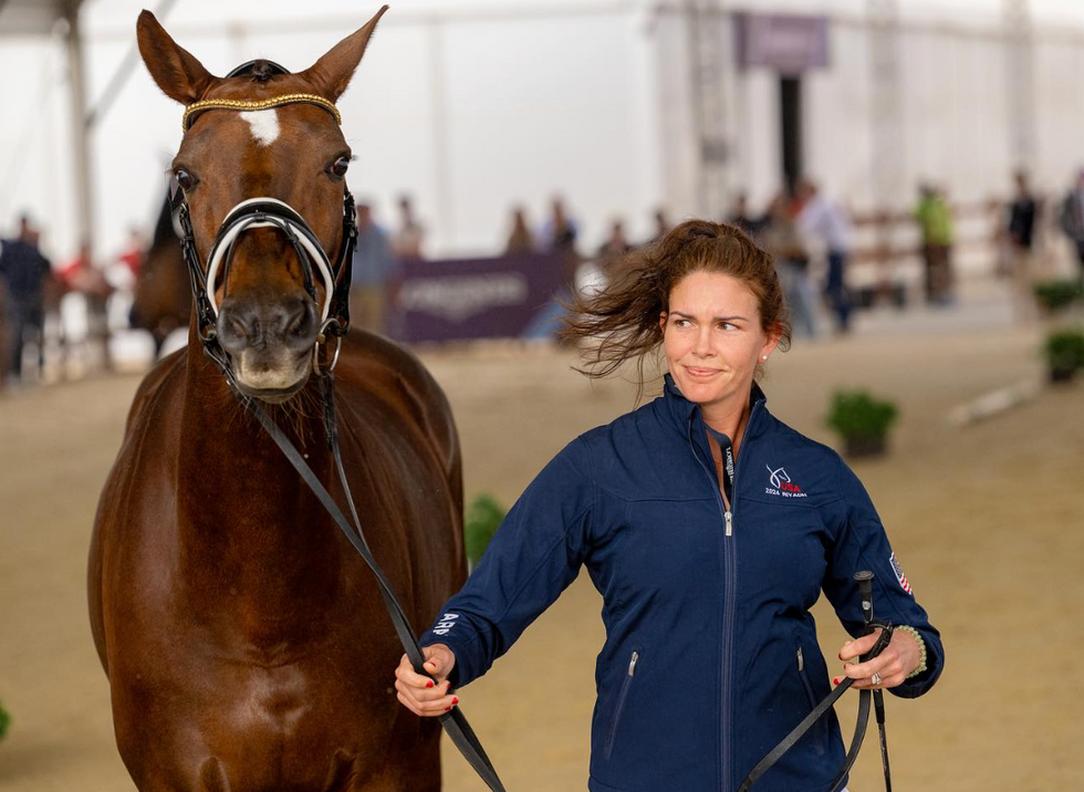 ​A horse and rider compete in dressage.