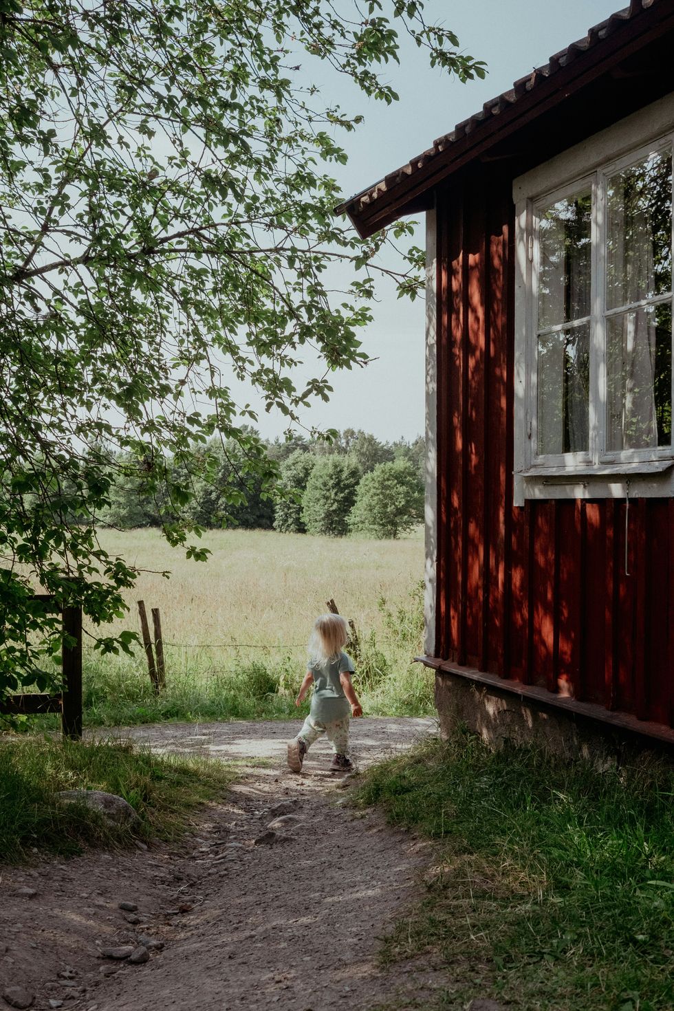 ​A young child walks down a path in the countryside, Stockholm, Sweden, Aug. 16, 2022.