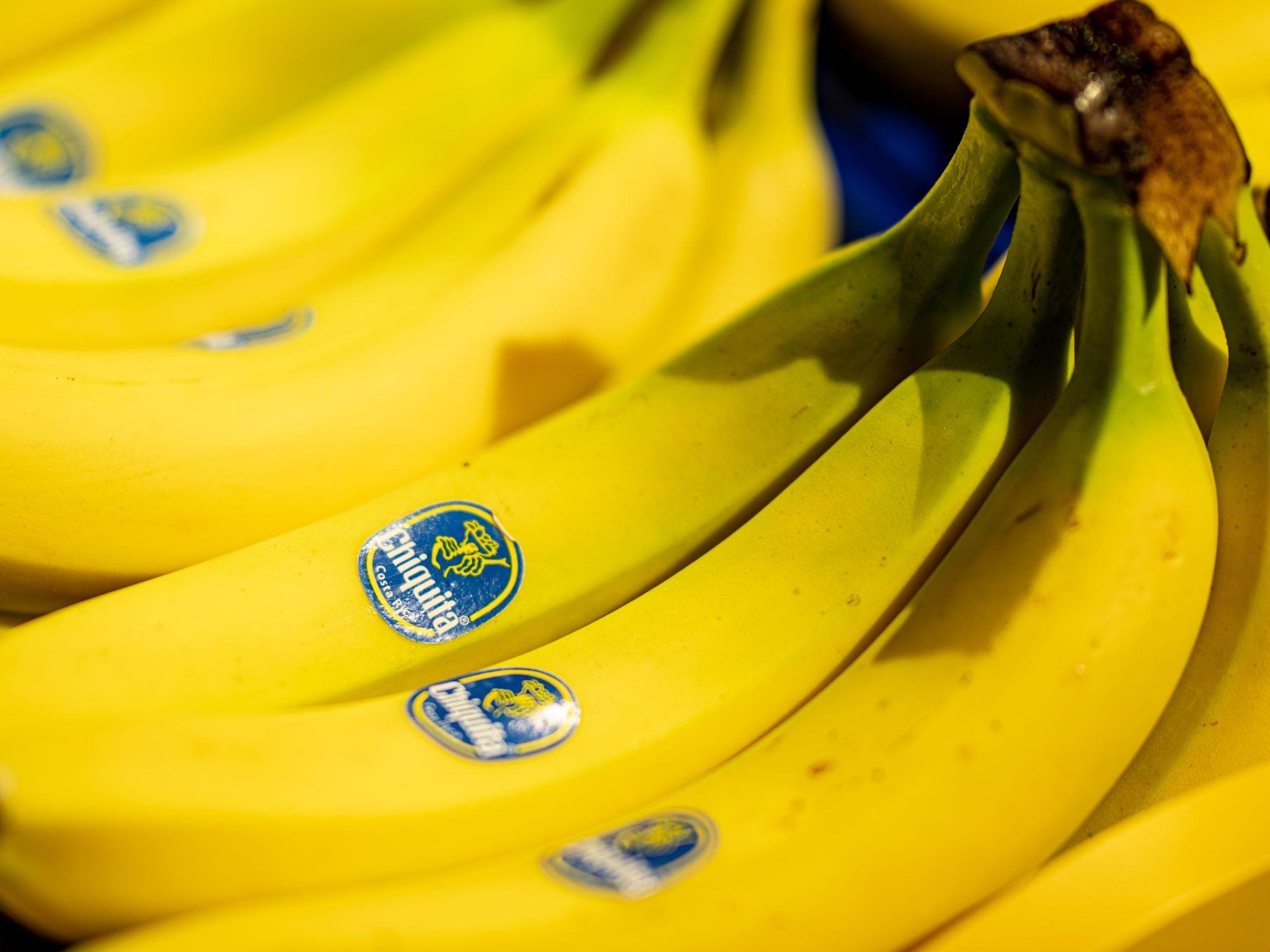 ​Chiquita bananas on exhibition at Fruit Logistica.