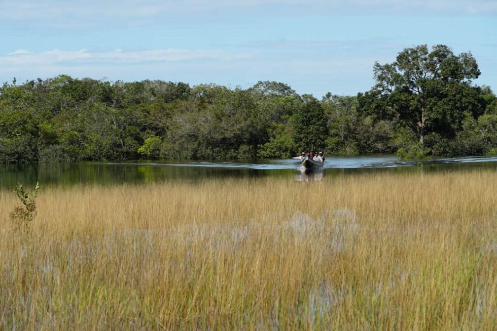 ​Crossing the flooded savannah by boat to reach Morrocoy.