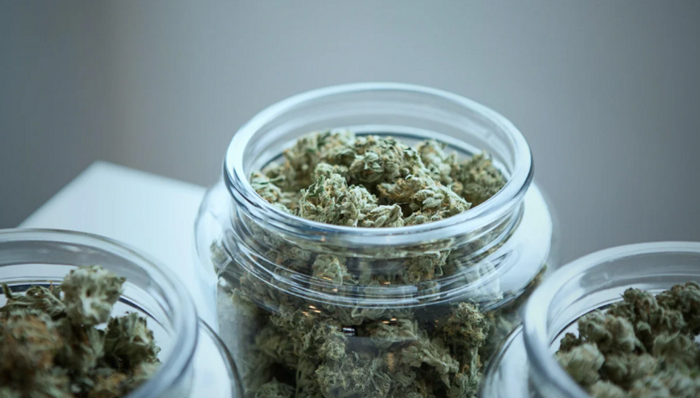 ​Crypto And Cannabis, Best Buds At Last