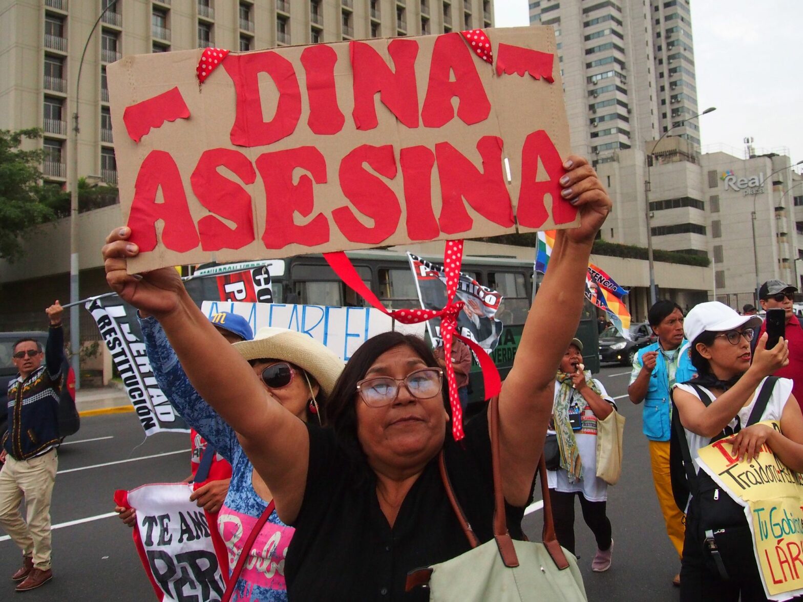 ​''Dina Assassin'' can be read on the sign as protestors took to the streets after Dina Boluarte's first year as president of Peru.