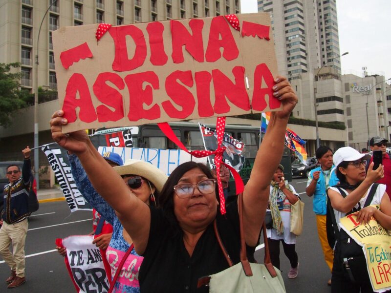 ​''Dina Assassin'' can be read on the sign as protestors took to the streets after Dina Boluarte's first year as president of Peru.
